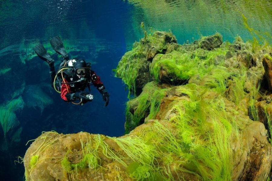 Silfra: Diving Between Tectonic Plates - Safety and qualifications: the real gatekeepers are certifications and proof