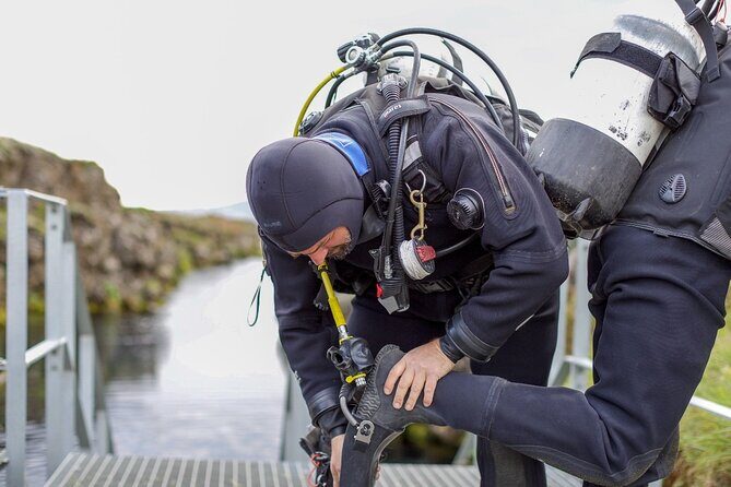 Silfra: Diving Between Tectonic Plates and Pick Up from Reykjavik - Price and value: why $325 can make sense here