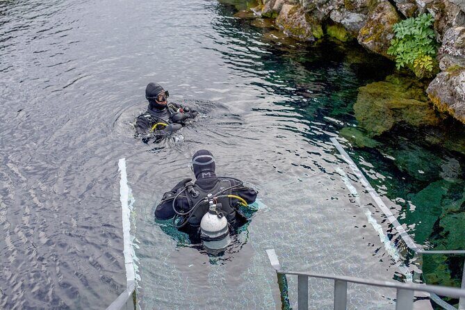 Silfra: Diving Between Tectonic Plates and Pick Up from Reykjavik - Should you book Silfra with DIVE.IS?