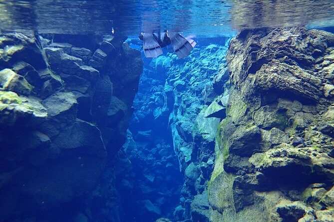 Silfra Fissure Snorkeling From Reykjavík - Free Underwater Photos - On-the-Water Safety and Swimmer Requirements (Don’t Skip This)