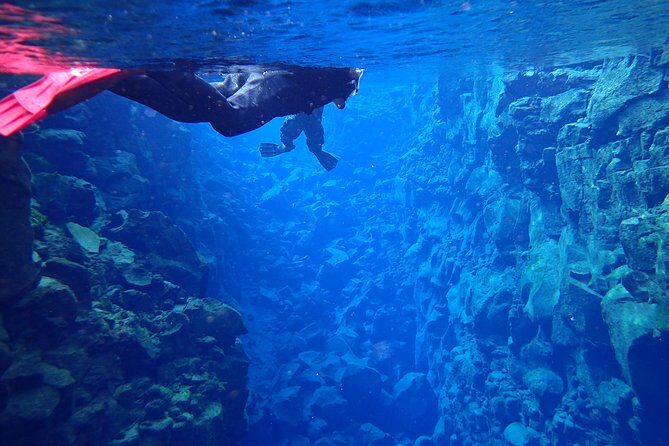 Silfra Fissure Snorkeling From Reykjavík - Free Underwater Photos - The Fissure Swim: How the Experience Feels Under the Ice-Cold Water