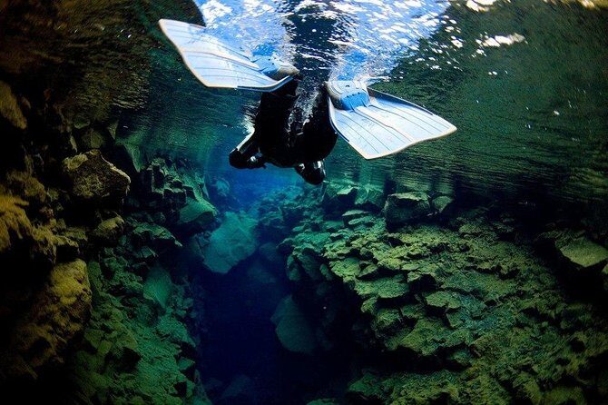 Silfra Fissure Snorkeling From Reykjavík - Free Underwater Photos - Free Underwater Photos: A Nice Keepsake With One Catch