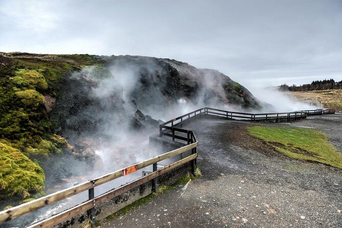 Silver Circle: Lava Cave, Waterfalls & Iceland Horses-Small Group - Stop 3: Sturlureykir Icelandic Horse Farm, Coffee, and Rugbraud