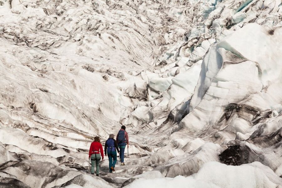 Skaftafell: Extra-Small Group Glacier Hike - Should you book Skaftafell Extra-Small Group Glacier Hike?
