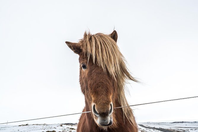 Small-Group Golden Circle Full-Day Tour from Reykjavik - What You’ll Need to Pack (Because Iceland Won’t Ask First)