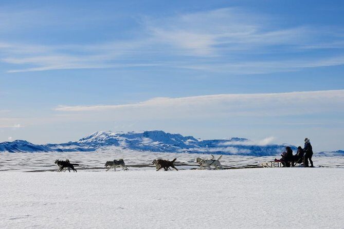 Small Group Husky Sledding Tour from Capital Region - Key things I’d mark on your map