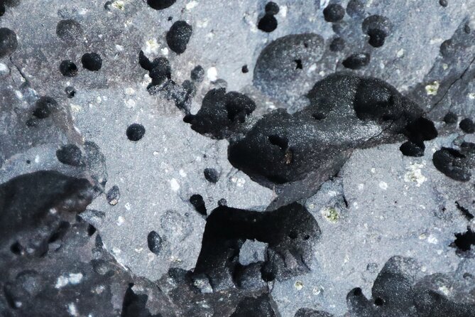 Small Group Volcano Hike with a Professional Geologist - Price and value: why $220.19 can still feel fair