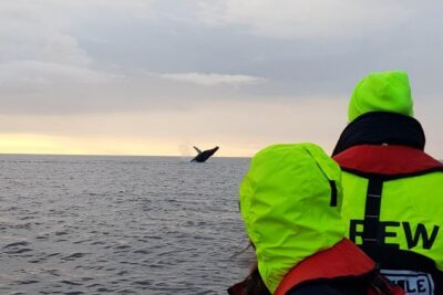 Small-group Whale Watching in the Midnight Sun from Reykjavík - Meeting at Ægisgarður 5d and getting geared before the pier
