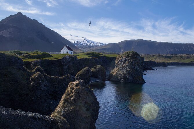 Snæfellsnes in Spanish with lunch on a farm Minibus - From Reykjavík Into Snæfellsnes: How the Day Flows