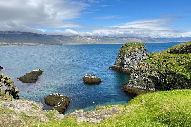 Snæfellsnes in Spanish with lunch on a farm Minibus - Kirkjufell Mountain and the Orca/Seal Shore-Watching Stretch