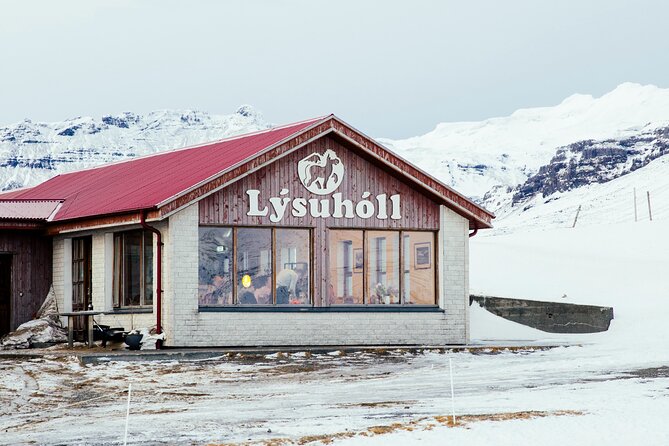 Snæfellsnes in Spanish with lunch on a farm Minibus - Ytri Tunga Beach for Seals: A Short Stop with Big Payoff