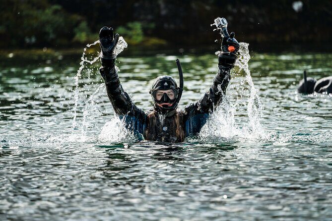 Snorkel the Silfra Fissure-Meet on Location (Free Photos & Cocoa) - Meeting at Thingvellir: Setup Happens Before You Go In