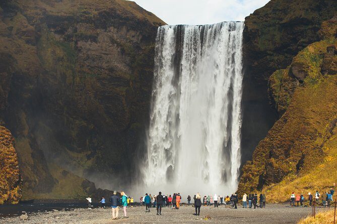 South Coast Day Tour Black Sand Beach & Waterfalls from Reykjavik - Reynisfjara Black Sand Beach: Basalt Formations and Real Wave Danger