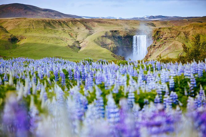 South Coast Iceland from Reykjavik with Guide & Touchscreen Audio - Skógafoss: Big Power and a Quick Climb for the Best Outlook