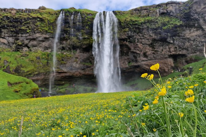 South Iceland, Glacier and Black Sand Beach Small Group Tour - South Coast in One Day: The 10-Hour Rhythm From Reykjavik