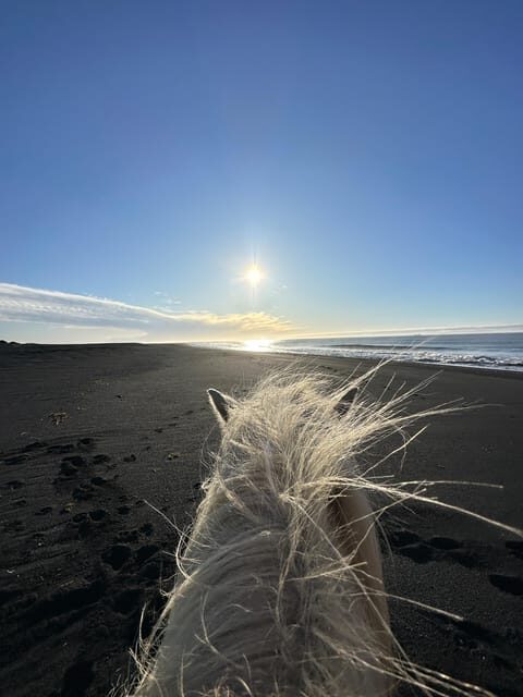 southern Iceland: Black beach riding tour - Key moments that matter most