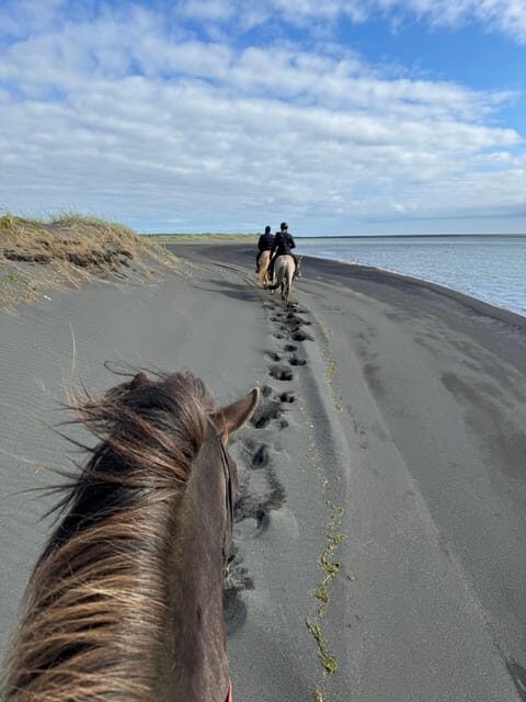 southern Iceland: Black beach riding tour - Southern Iceland Black Beach Riding: What You’re Really Booking