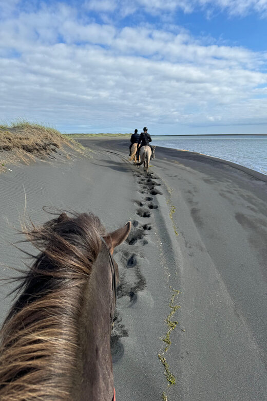southern Iceland: Black beach riding tour - The Black Sand Coastline: Sea Air, Wave Sounds, and Big Views