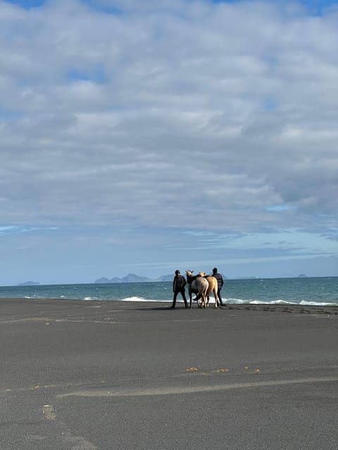 southern Iceland: Black beach riding tour - What to Wear: Your Real “Weather Ticket”
