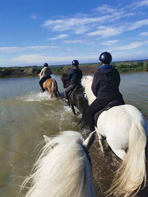 southern Iceland: Black beach riding tour - Duration, Pace, and What “2 Hours” Feels Like