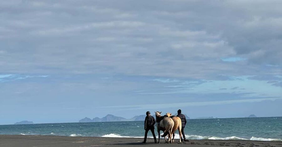 southern Iceland: Black beach riding tour - Price and Value: Is $194 Worth It?
