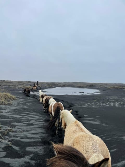 southern Iceland: Black beach riding tour - Who This Tour Suits Best (and Who Should Skip It)
