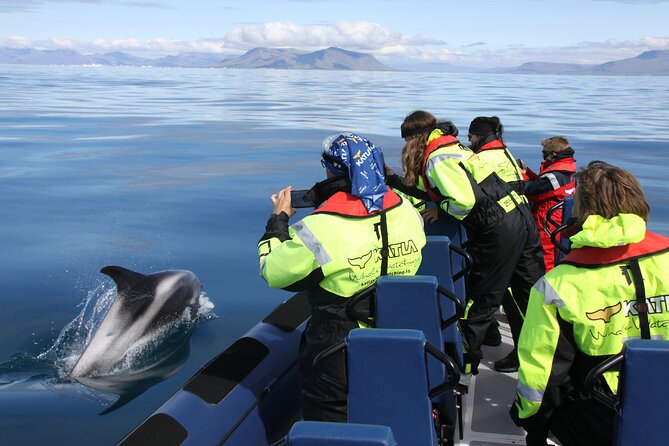 Speedboat Whale Watching Small-Group Tour in Reykjavik - Sun Voyager and Harpa Views: Reykjavik Sightseeing That Doesn’t Feel Like Homework