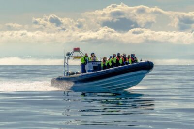 Speedboat Whale Watching Small-Group Tour in Reykjavik - Meet at Special Tours and Get There Early, Even If You’re On Time