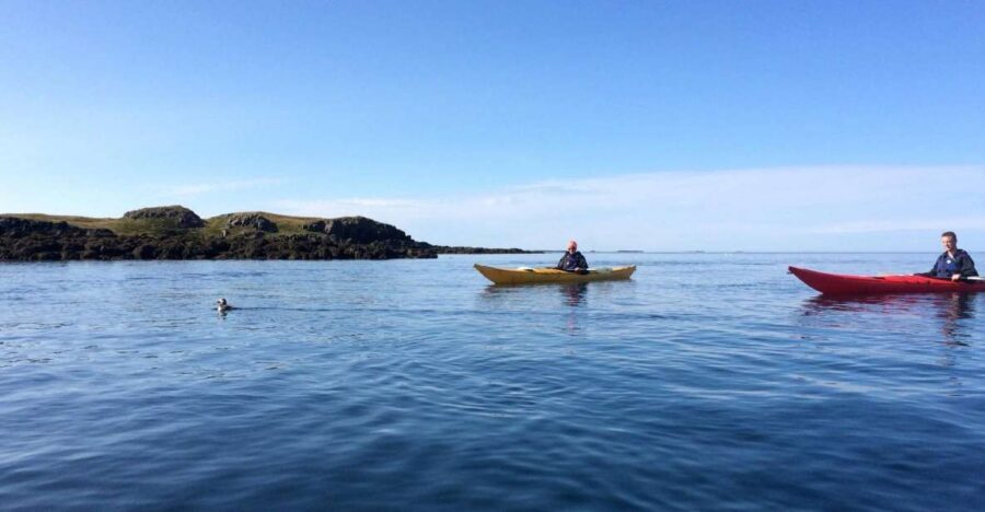 Stykkishólmur: 2-Hour Sea Kayak Tour - Shipwrecks in Breiðafjörður Bay, including Thorgeir