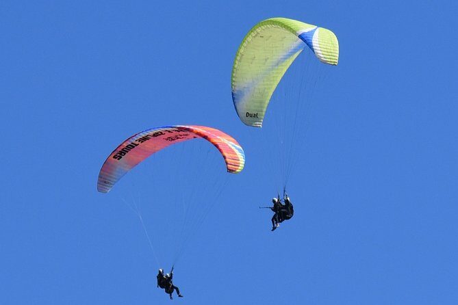 Tandem Paragliding Flights from Vik - Seeing Reynisfjall, Reynisfjara, Vík, and Reynisdrangar from above