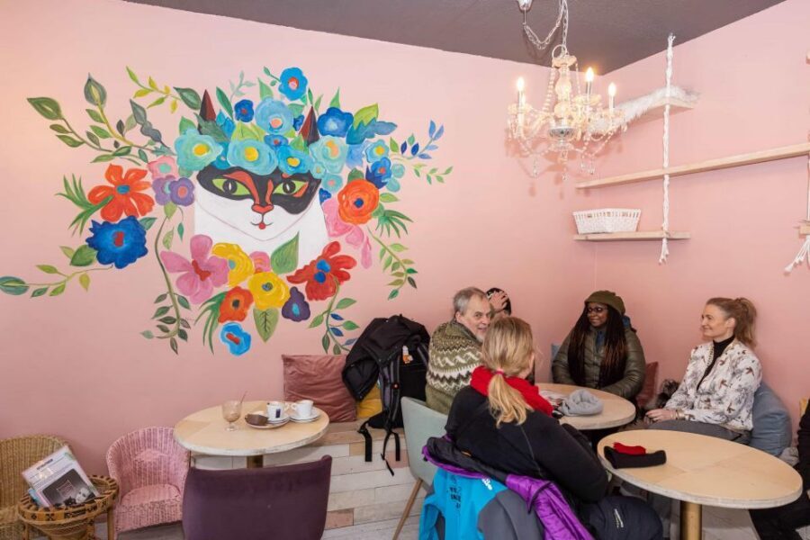 The Private Reykjavik CatWalk - How a 2-hour private tour turns Reykjavik into a cat story