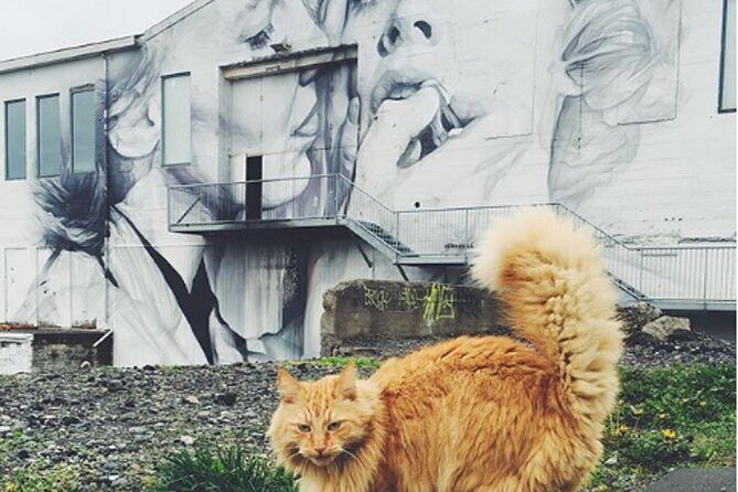 The Reykjavik Cat Walking Tour - Kattakaffihúsið: hot drink, Icelandic pastry, and petting cats