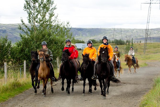 The Siggi Tour from Reykjavík: 1.5 to 2-Hour Ride - Key things to know before you ride the Siggi Tour