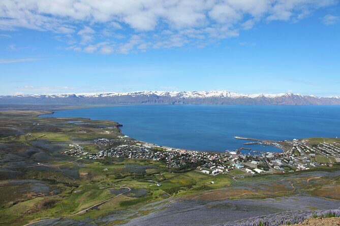 The Story of Fire Saga Eurovision: Netflix Húsavík Walking Tour - Eurovision in Húsavík: why this town fits the movie
