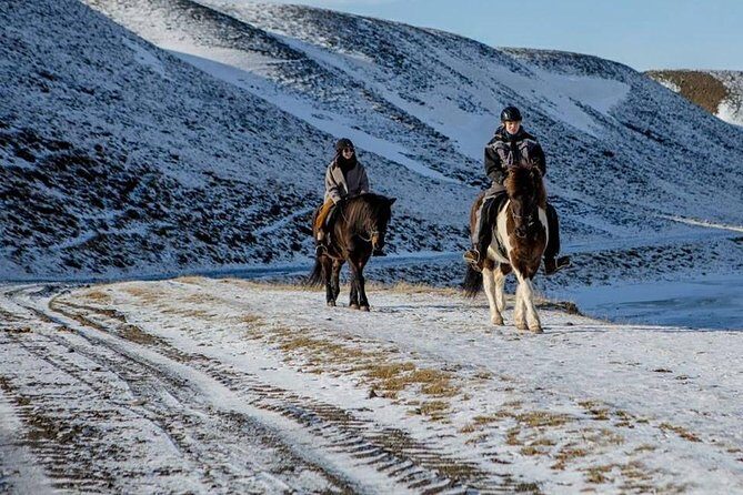 The Viking Horse Riding Experience in North Iceland - Key Points You’ll Actually Care About