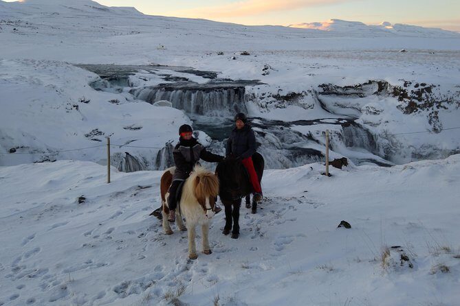 The Viking Horse Riding Experience in North Iceland - The Tölt: How You Actually Get to Experience Iceland’s Signature Gait