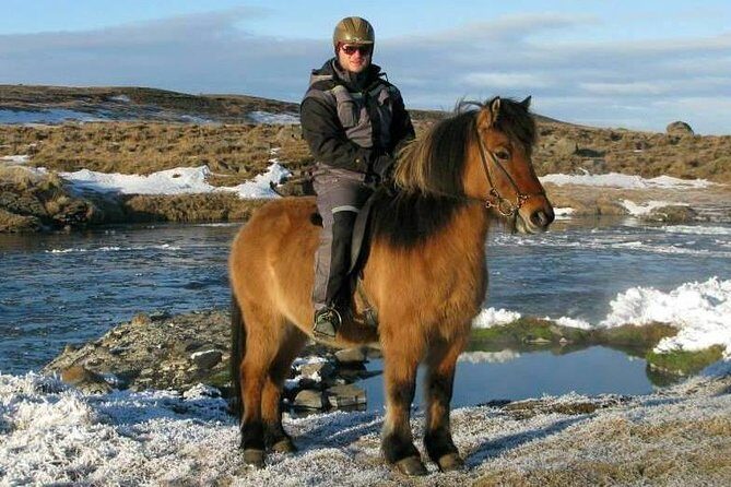 The Viking Horse Riding Experience in North Iceland - Safety and Support: Why This Works Even If You’ve Never Ridden