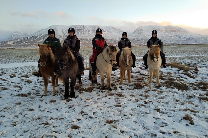 The Viking Horse Riding Experience in North Iceland - What to Wear in North Iceland Winter (So You Enjoy It)