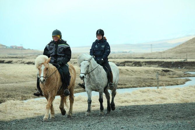 The Viking Horse Riding Experience in North Iceland - Who Should Book This Ride (and Who Might Think Twice)