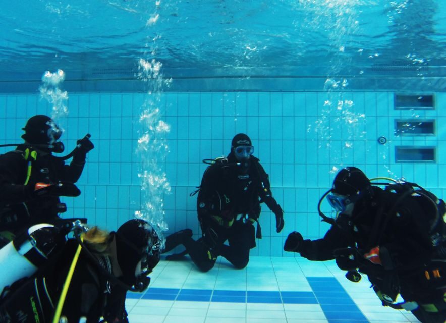 Thingvellir: Silfra Fissure Diving with Optional Pickup - Guides: how Dominica and Guillaume shaped the tone of the day