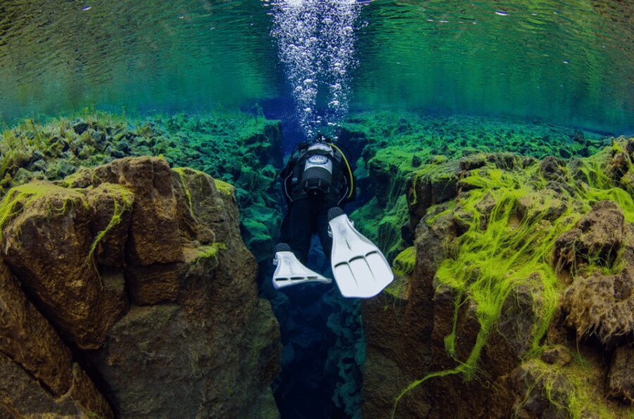 Thingvellir: Silfra Fissure Diving with Optional Pickup - Who this is best for (and who should skip it)