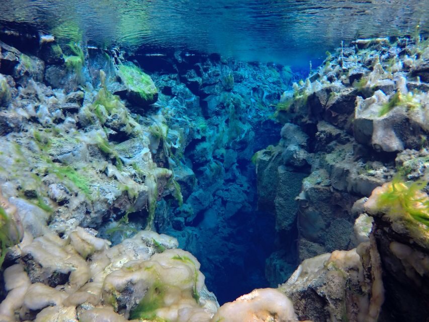 Thingvellir: Silfra Freedive Adevnture with a Guide - What’s Included vs. What’s Not (So You Can Budget Cleanly)
