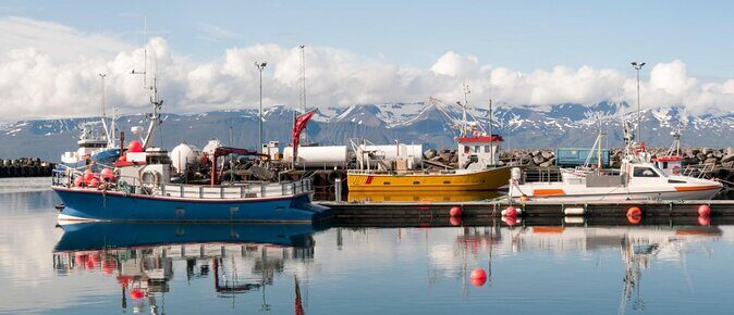 Traditional Oak Ship Whale Watching Tour From Husavik - Quick highlights you’ll care about