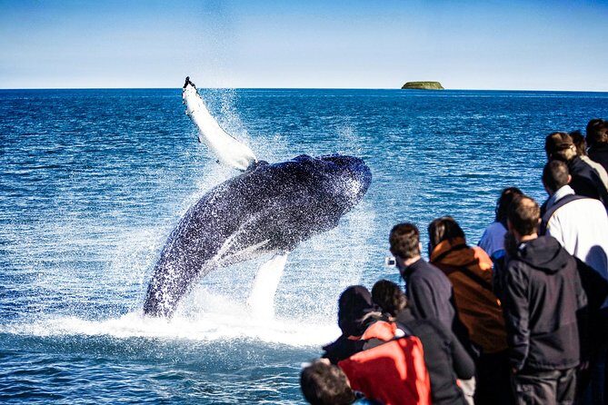 Traditional Oak Ship Whale Watching Tour From Husavik - Skjálfandi Bay on a Traditional Oak Ship: what makes this “Original” feel worth it