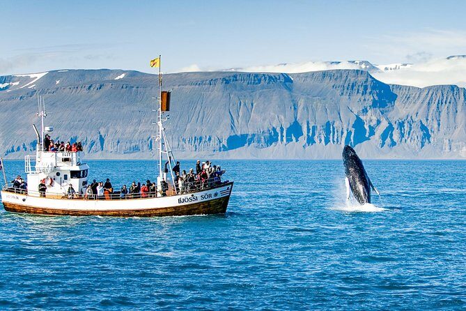 Traditional Oak Ship Whale Watching Tour From Husavik - Price and value: is $118.56 worth it in Húsavík?