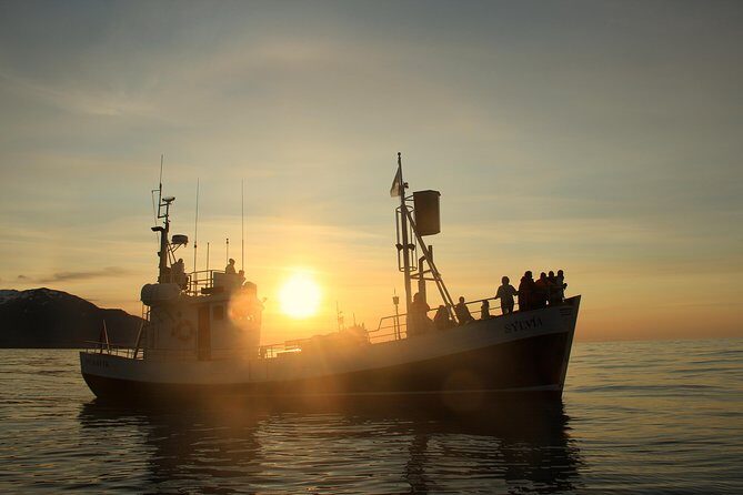 Traditional Whale Watching from Húsavík by Local Family Company - What happens when it’s choppy, windy, or the boat is full