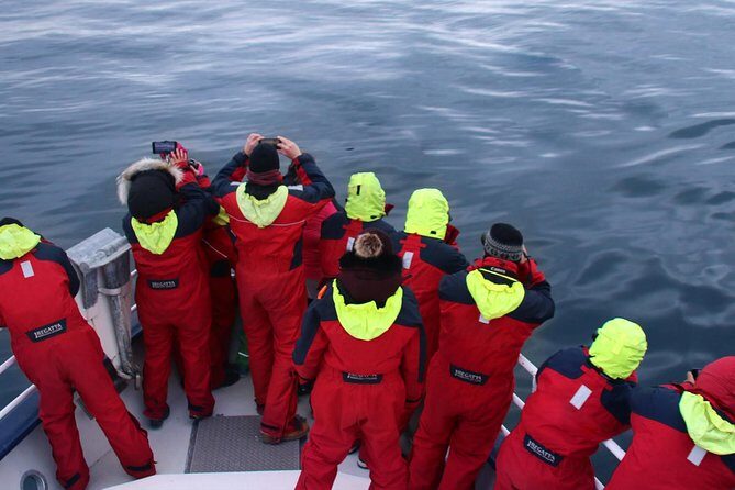 Two-In-One: Whale & Puffin Watching Tours from Reykjavik - Who should book this combo, and who should consider alternatives