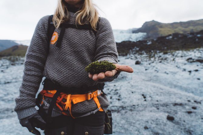 Vatnajökull Guided Beginner Glacier Walk with 4x4 Transfer - Key Points I’d Actually Plan Around
