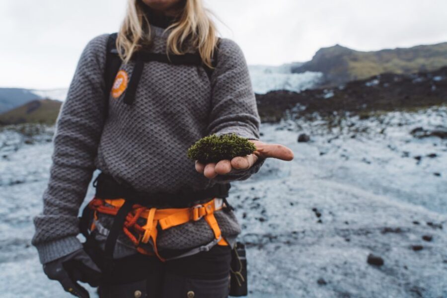 Vatnajökull: Short Glacier Encounter Walk with 4x4 Transfer - Your Guided Walk on Falljökull Icefalls: What the 1.5 Hours Feels Like