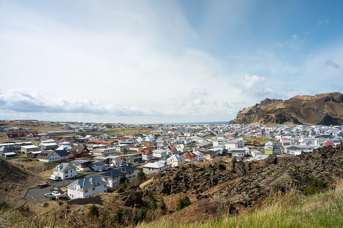 Vestmannaeyjar, Puffins & Volcanoes Small Group Day Tour - Key highlights worth getting excited about